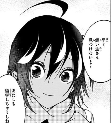 ぼくたちは勉強ができない(15) 留学への覚悟を決めているうるか