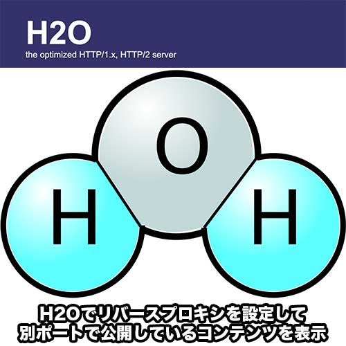 H2O でリバースプロキシの設定を行いコンテンツを公開する