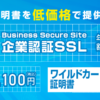 SSLストア　【RapidSSL 1,620円 Symantec 53,000円 GeoTrust 11,880円】