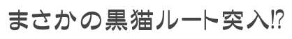 まさかの黒猫ルート突入!?