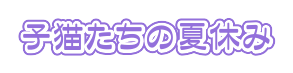子猫たちの夏休み