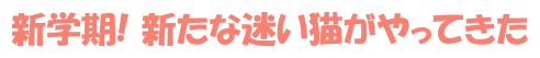 新学期! 新たな迷い猫がやってきた